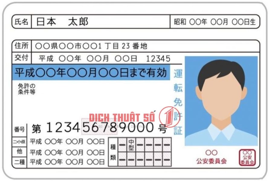mẫu dịch bằng lái xe sang tiếng Nhật