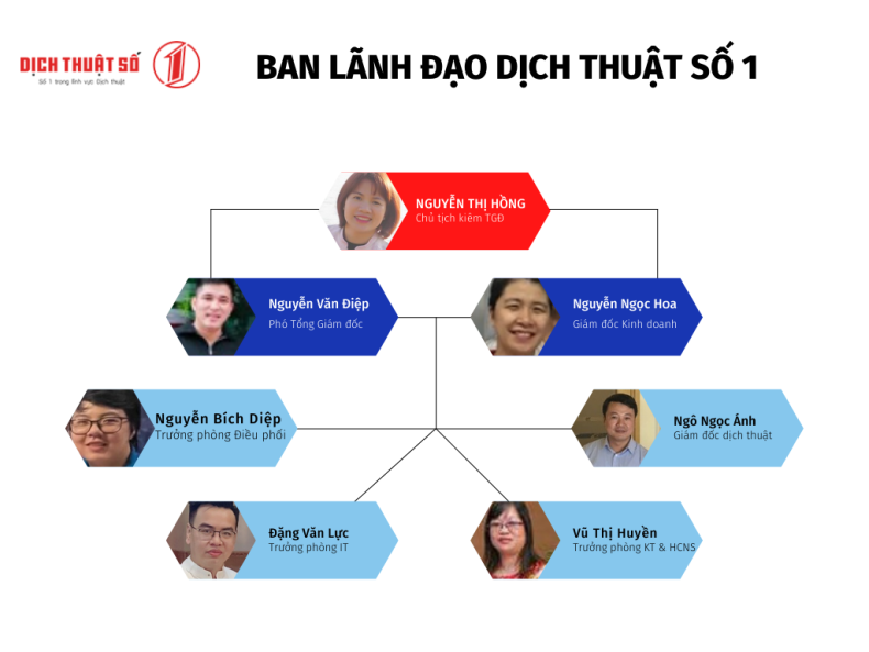 Organizational chart of the management board of Digital Translation 1