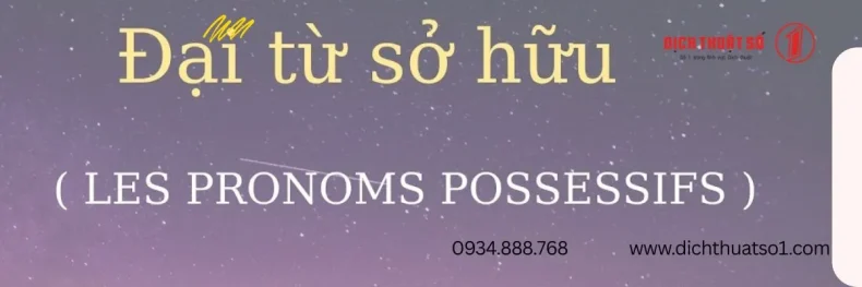 Đại Từ Sở Hữu Trong Tiếng Pháp - Le Mien, La Tienne, Les Siens