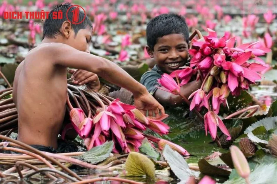 Ngôn ngữ Bangladesh
