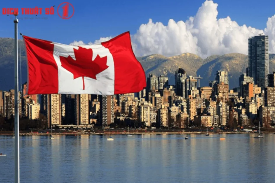 Nhu cầu dịch tiếng Canada sang tiếng Việt