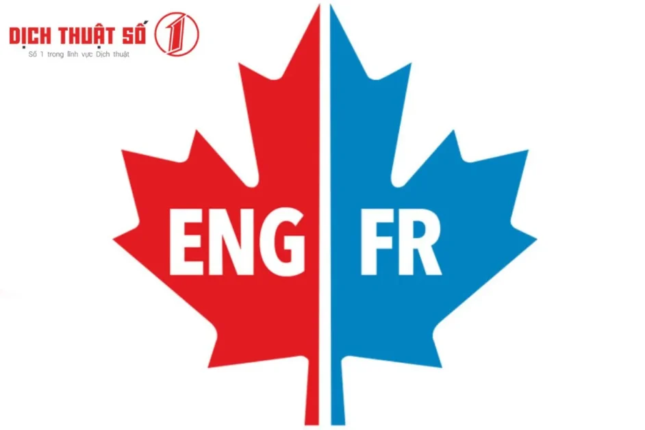 Quy trình dịch tiếng Canada chuẩn